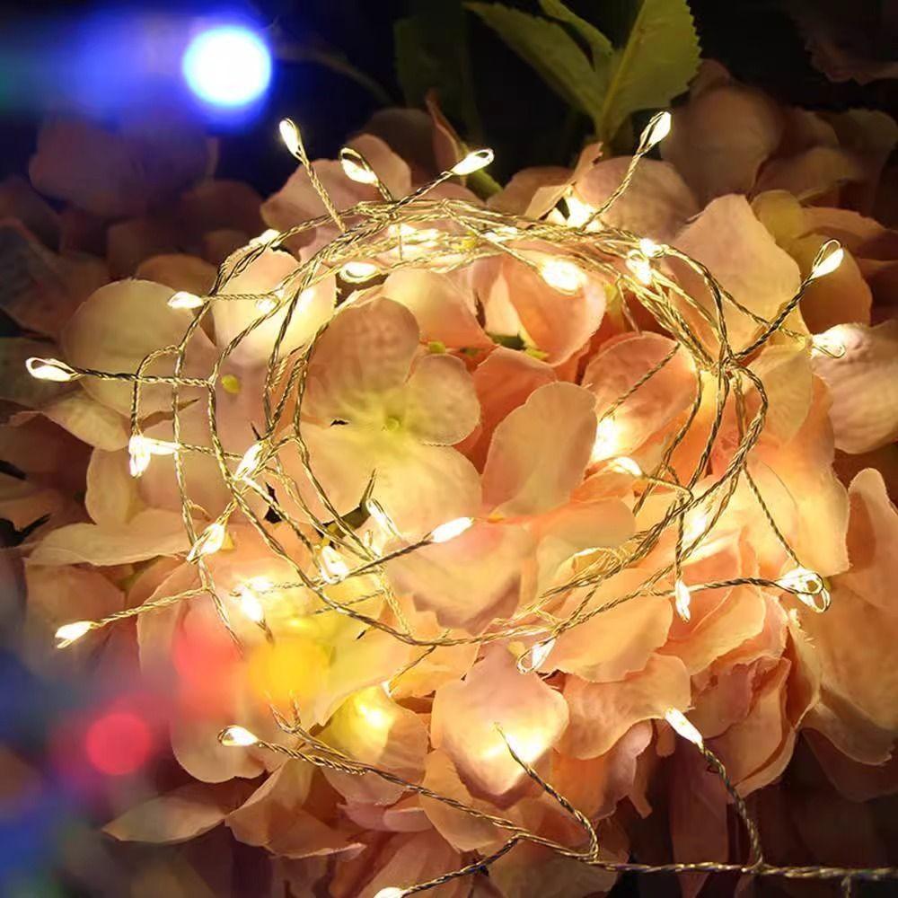 Warm /White/Colorful USB LED String Lights Energy Efficient Waterproof Remote Control Garland Small Colored Dimmable
