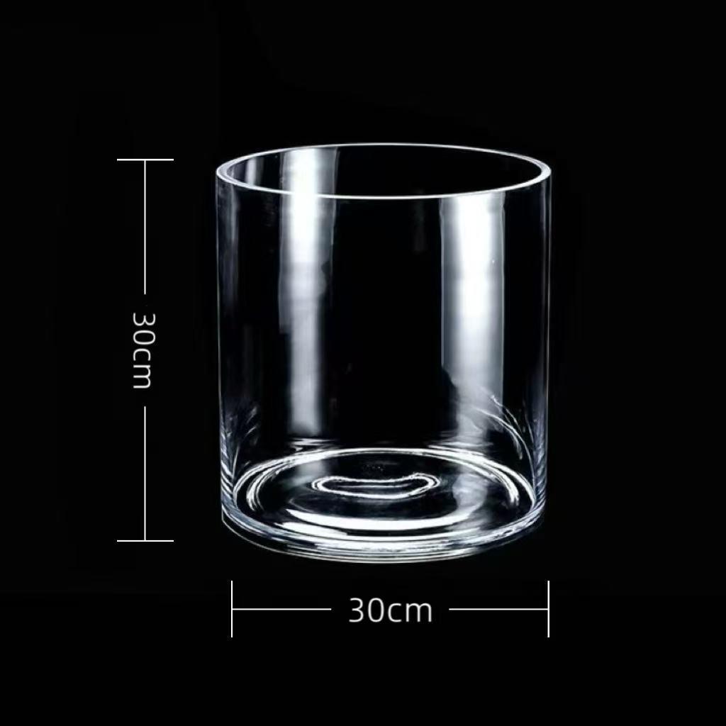 Transparent Glass Flower Vase & Hydroponic Container - Floor Ornament