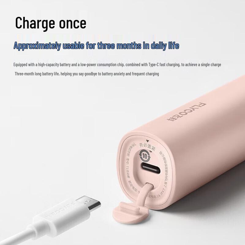 FLYCO T1 Smart Sweeping-Vibration Electric Toothbrush CN plug (adapter included)