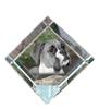 Boxer, German Boxer I – Crystal Cube with a Photo, Photo of a Horse In Crystal |