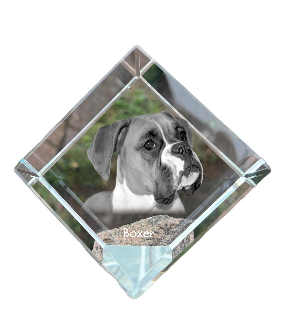 Boxer, German Boxer I – Crystal cube with a photo, photo of a horse in crystal | Art-Dog