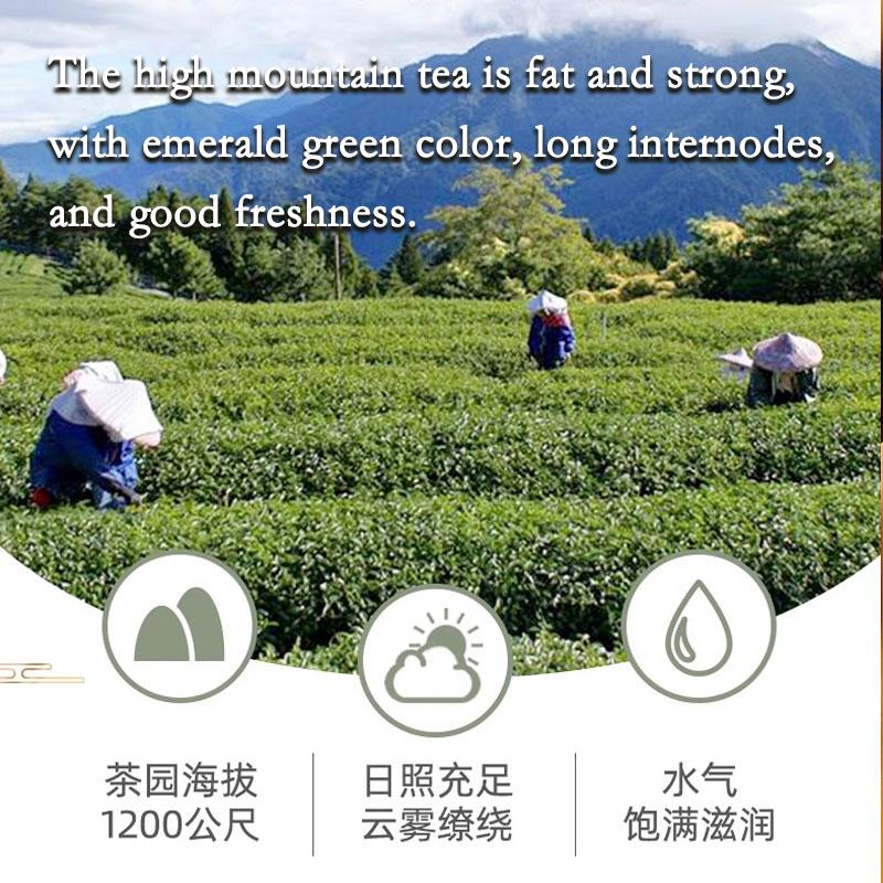 HelloYoung Milk Oolong Tea Original Good Tea Natural Organic Oolong Tea Green Food Without Additives Strong Aroma Resistant To Brewing