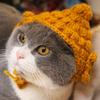 Soft and Cozy Cat Hat With Plush Ears, Handcrafted Cute Bear Design Warm Pet Headwear for Cats and Small Dogs