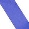 Romantic Tiger Color Sheer Tights (blue)