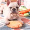 Pet Toy Simulation Vegetable Food Pet Tear-resistant Plush Toy Creative Fun Cat And Dog Toy Vocal Pet Toy 2026