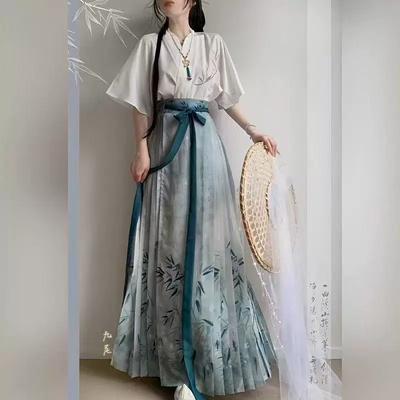 Hanfu Stil Dinastia Ming Chineză Pentru Femei, Fustă cu Fața de Cal, Costum de Zi cu Zi