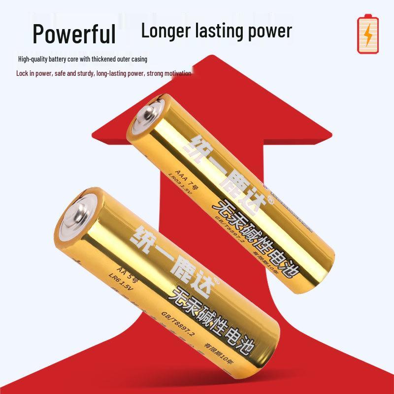 CR5 Alkaline Battery - AA & AAA for Smart Locks, Remotes, Flashlights, Mice