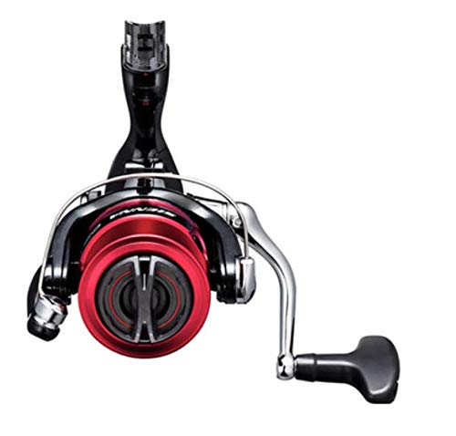 SHIMANO 19 Sienna C3000 Spinning Reel with 3-gauge, 150m Line, for Eging, Sea Bass, and Light Shore Saltwater Fishing