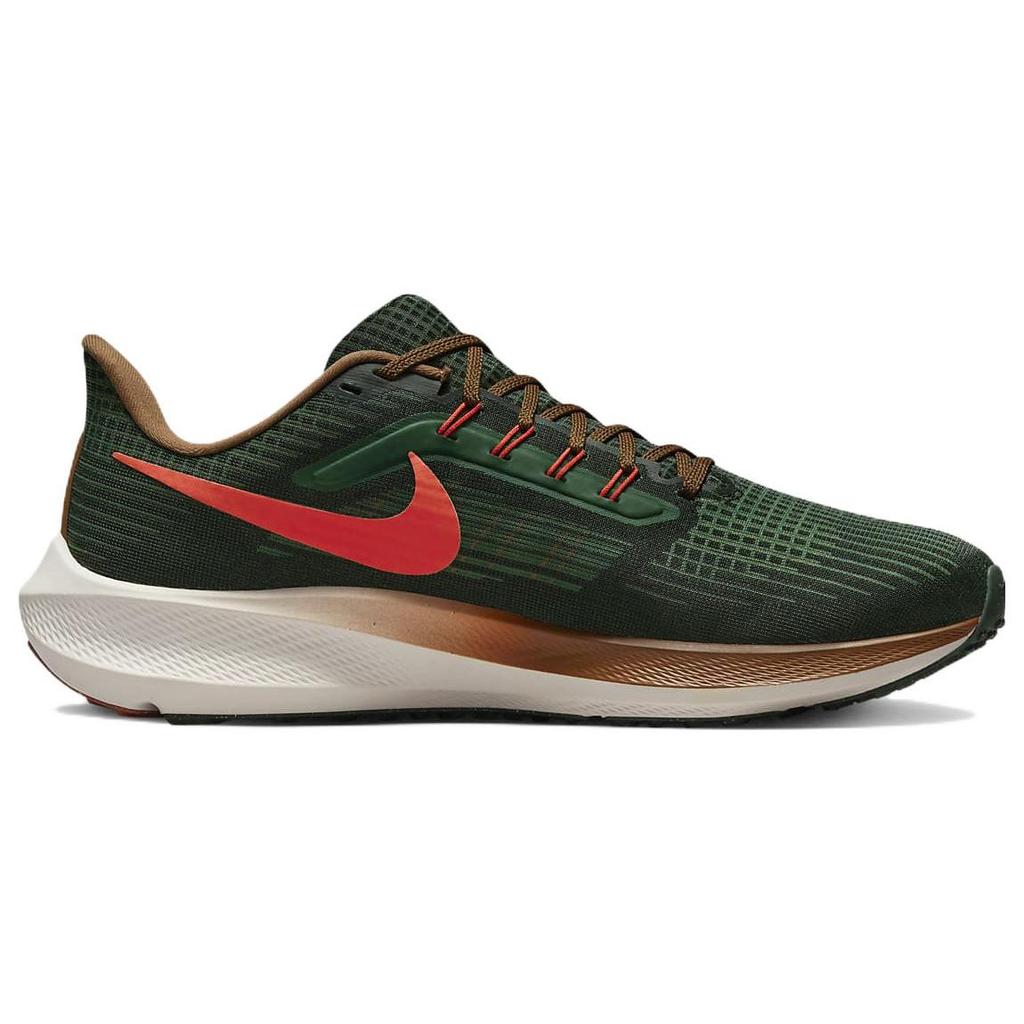 Hola Lou X Nike Air Zoom Pegasus 39 A.I.R. Men Sneakers Green Gorge-Green Team-Orange DO9500-300