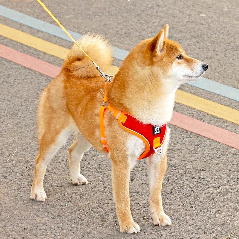 Adjustable Reflective Shiba Inu & Corgi Harness: Anti-Pull Leash Vest for Medium to Large Dogs