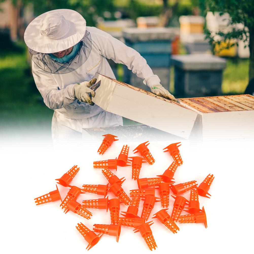 30pcs Plastic Bee Queen Cage Protective Cover Queen Rearing Cup Beekeeping Equipments Tools