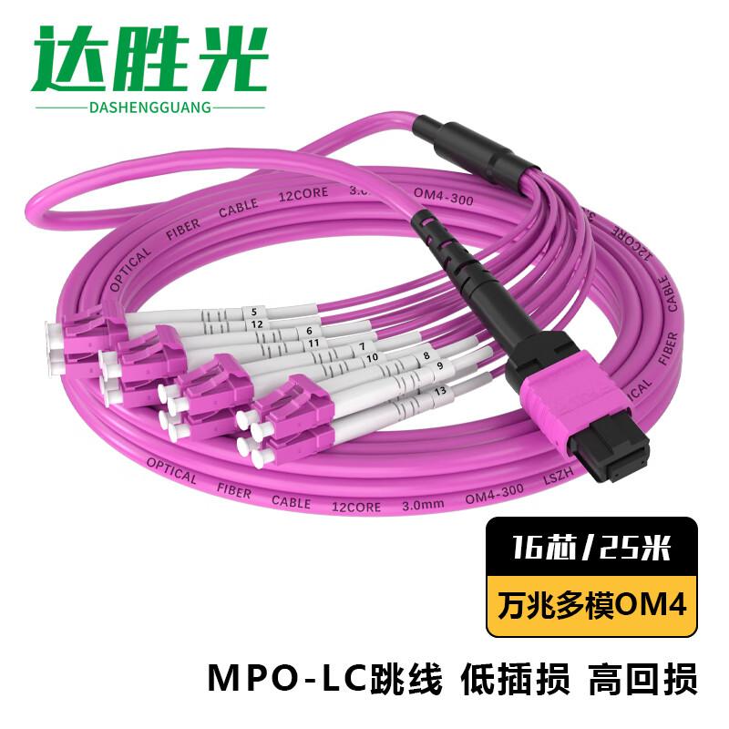 

Dasheng Optical 16-Core MPO-LC OM4 Multimode Fiber Patch Cable
