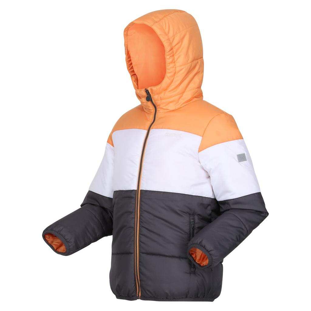 Regatta Childrens/Kids Lofthouse VII Terrain Print Padded Jacket