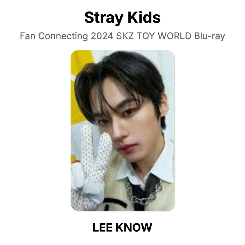Stray Kids Fan Connecting 2024 SKZ TOY WORLD Blu-ray Official Photocard