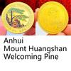 Chinese tourist attraction, Xi'an Big Wild Goose Pagoda, tourist attraction, gold-plated color printed commemorative medal, gold coin