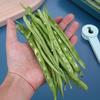 Stainless Steel Green Remover French Bean Cutter Green Bean Slicer Stringer Long Bean Shredder