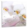 PANEL SZKLANY DO KUCHNI 60x65 Orchidea