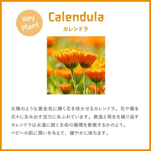 [Official] WELEDA Calendula Baby Nappy Cream 75mL Calendula Baby Balm for Diaper Care, Gentle Herbal Scent, Naturally Derived Ingredients, Organic