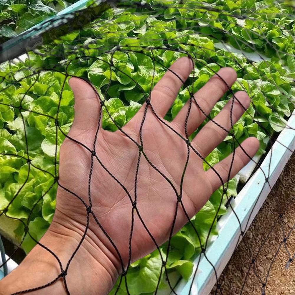 Nylon Bird Netting Mesh Hawk Netting Protective Garden Bird Net 25 X 50 FT Chicken Coop Netting for Fruit Trees Plants