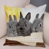 Sofa Car Home Decor Cute Rabbit Cushion Cover Bedroom Living Room Pillowcase Pet Animal Pillowcase