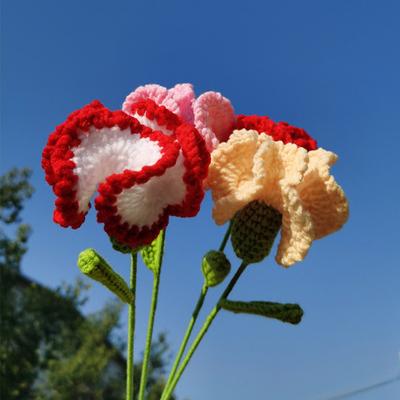 Knitted Carnation Hand-made Flower with Wool Hand Crocheting Artificial Packing Bag Home Decor