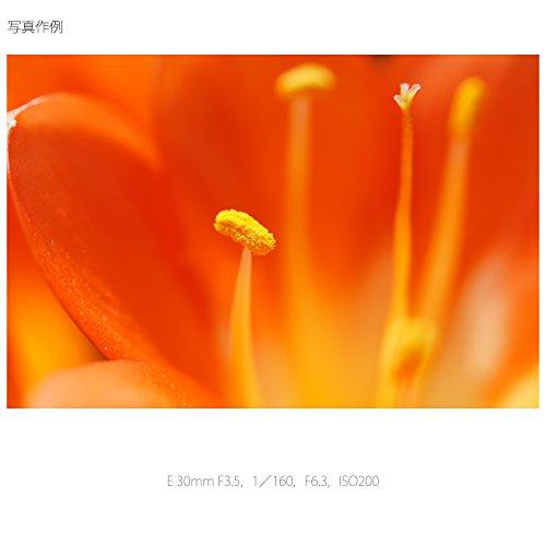 Sony Einzelfokusobjektiv E 30 mm F3.5 Makro für Sony E-Mount APS-C nur SEL30M35