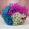 Baby's Breath Dried Flower Bouquet for Living Room Decor - Real Fresh Cut Flowers, Perfect for Gifting and Decorative Ornaments.
