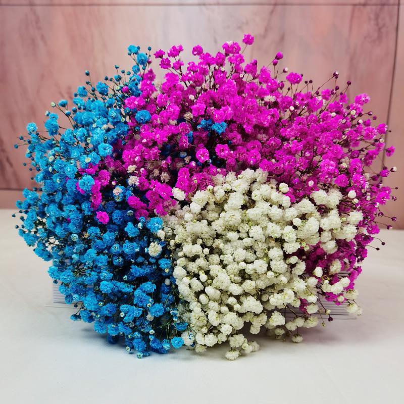 Baby's Breath Dried Flower Bouquet for Living Room Decor - Real Fresh Cut Flowers, Perfect for Gifting and Decorative Ornaments.