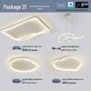 Modern Minimalist Ceiling Light Package with Smart Home Integration for Whole House