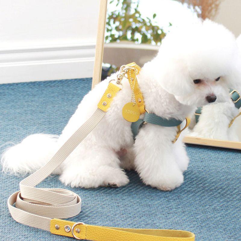 MAISON DE MIU Running Mate Harness_Indian Blue/Yellow