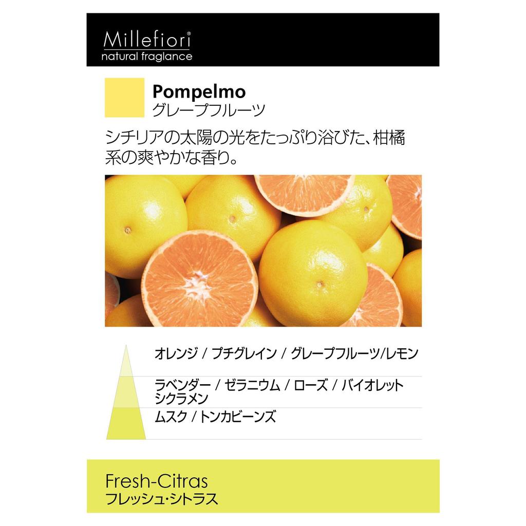 ICON ANIMALIER 16CARD22 Car Car Grapefruit