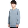 Li Ning Badminton Series Solid Color Logo Running Sports Pullover Long Sleeve Sweatshirt Men sweatshirt Gray AWDTD81-5