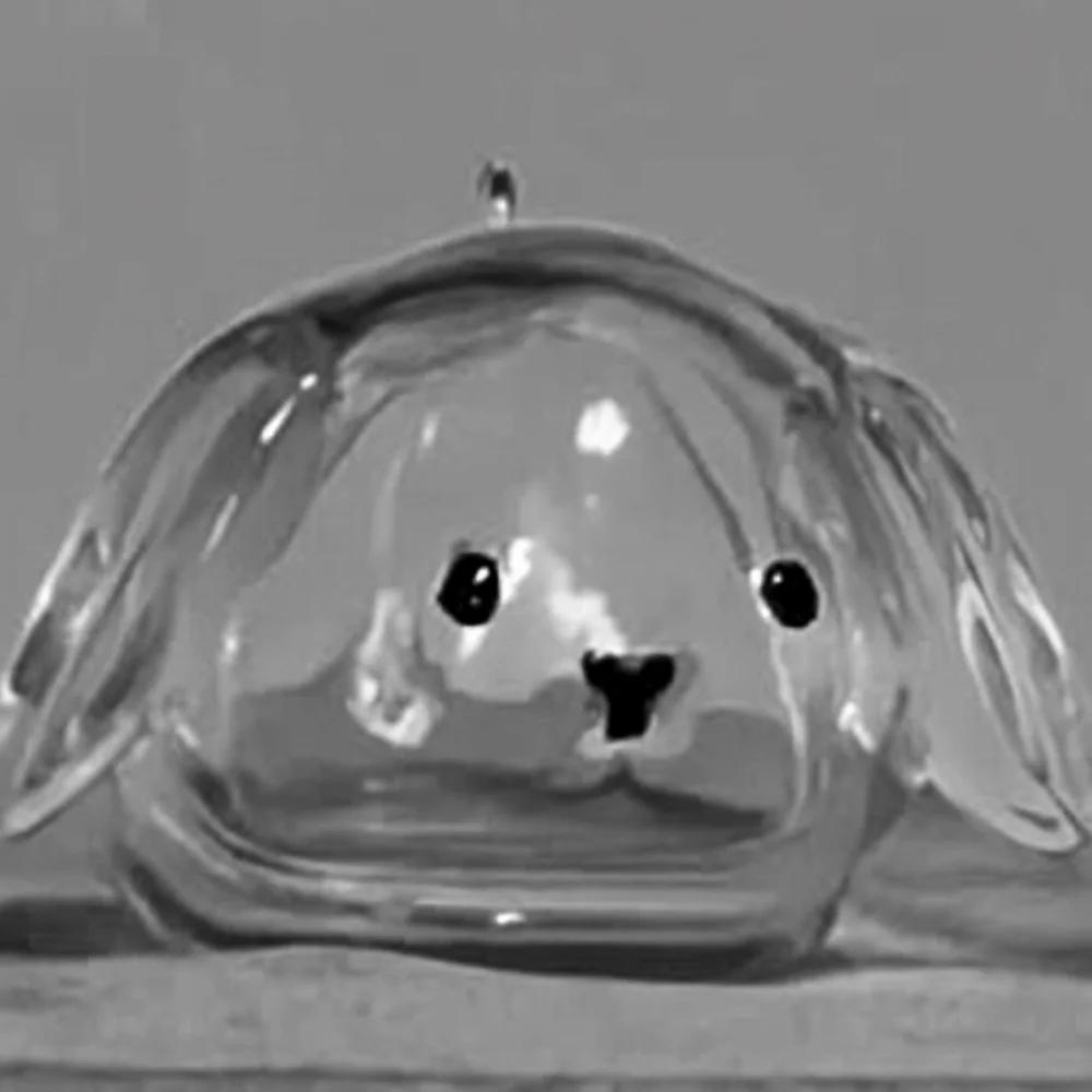 Transparante Acryl Sleutelhanger Kattenhaar Opslag Capsule Handgemaakt Dierenvorm Konijnenhaar Opbergdoos Stijlvol Schattig