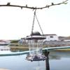 Folding Hanging Bird Feeder Waterproof with Roof Hummingbird Feeder Large Capacity Wild Bird Feeder Wild Birds