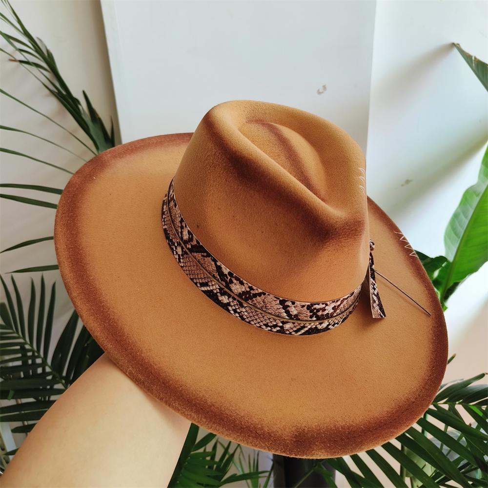 Vintage Western Fedora Hut für Männer Frauen Breiter Rand Cowgirl Hut mit Schlangenmuster Band Feder Detail Filz Jazzkappe Sombrero