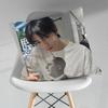 Sänger CCha EEunwoo Kissen über Wohnzimmer Sofa Kissenbezug Heimdekoration Schlafzimmer Zimmer Bett Kissenbezug