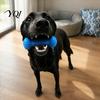 Canine Dental Prop Dog Tooth Brushing Helper, Pet Chewable Toy, Dual-Action Oral Hygiene Tool Care for Cleaning Teeth, Removing Tartar And Plaque,