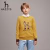 Hazzys Boys' Round Neck Pullover Sweater