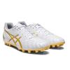 Asics Ds Light Club Artificial Turf Ag (Rubber Short Studs) Soccer Shoes Men Soccer Shoes Platinum 1103A027-122