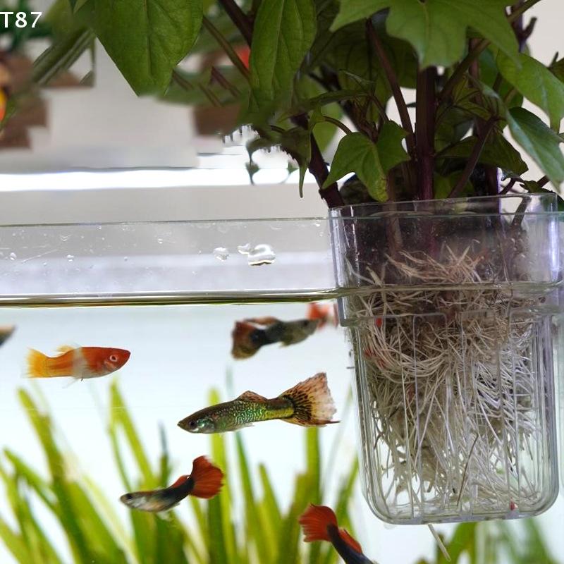Pot Aquatic Plants Holder Aquatic Plant Cup Fish Tank Planter Aquarium Plant Basket Transparent Fish Tank Hanging Decorations
