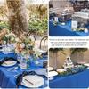 6 Pack Disposable Plastic Tablecloths for Parties, Weddings, Birthdays, Christmas, Anniversaries| Durable Machine-Made Buffet Table Coverings