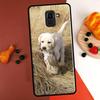 Duck Hunting Case For Samsung Galaxy M31 M21 M53 M11 M13 M32 M52 M15 M35 M55 M14 M34 M54 M06 M16 M36 M56