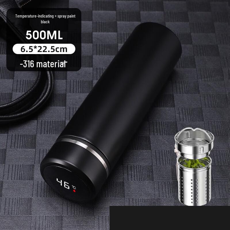 Zhi Shi Smart Insulated Tea Infuser Bottle 500ml