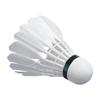 Badminton – Skyttlar