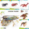 Lobster Pvc Marine Animal Model For Educational Display And Kids Gifts
