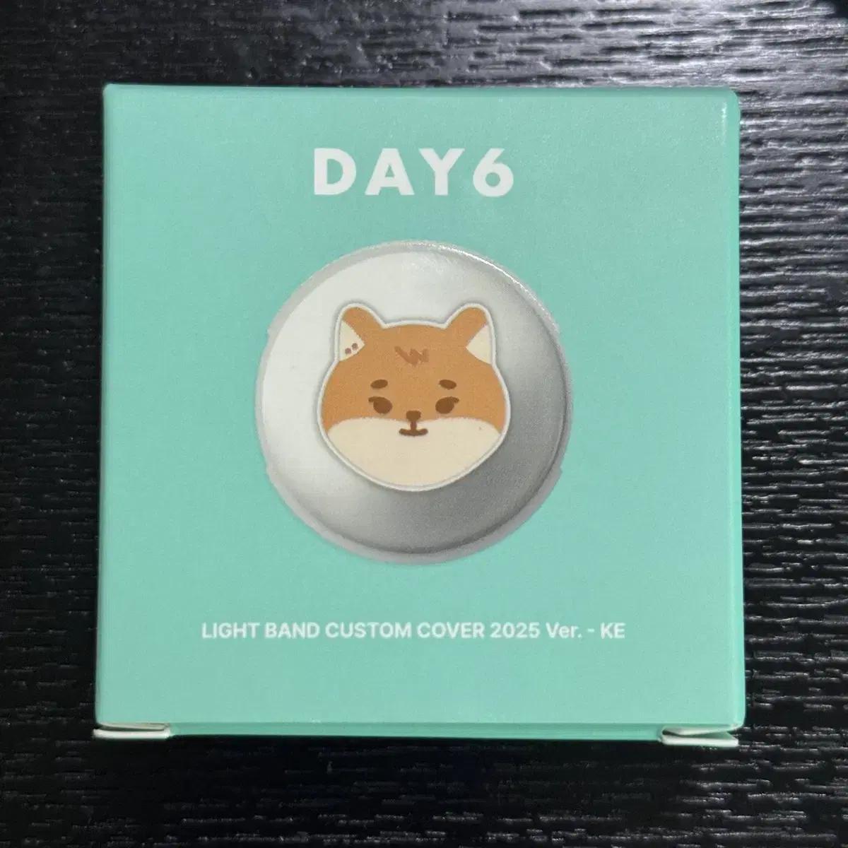

Day6 Young K Light Band Custom Cover K