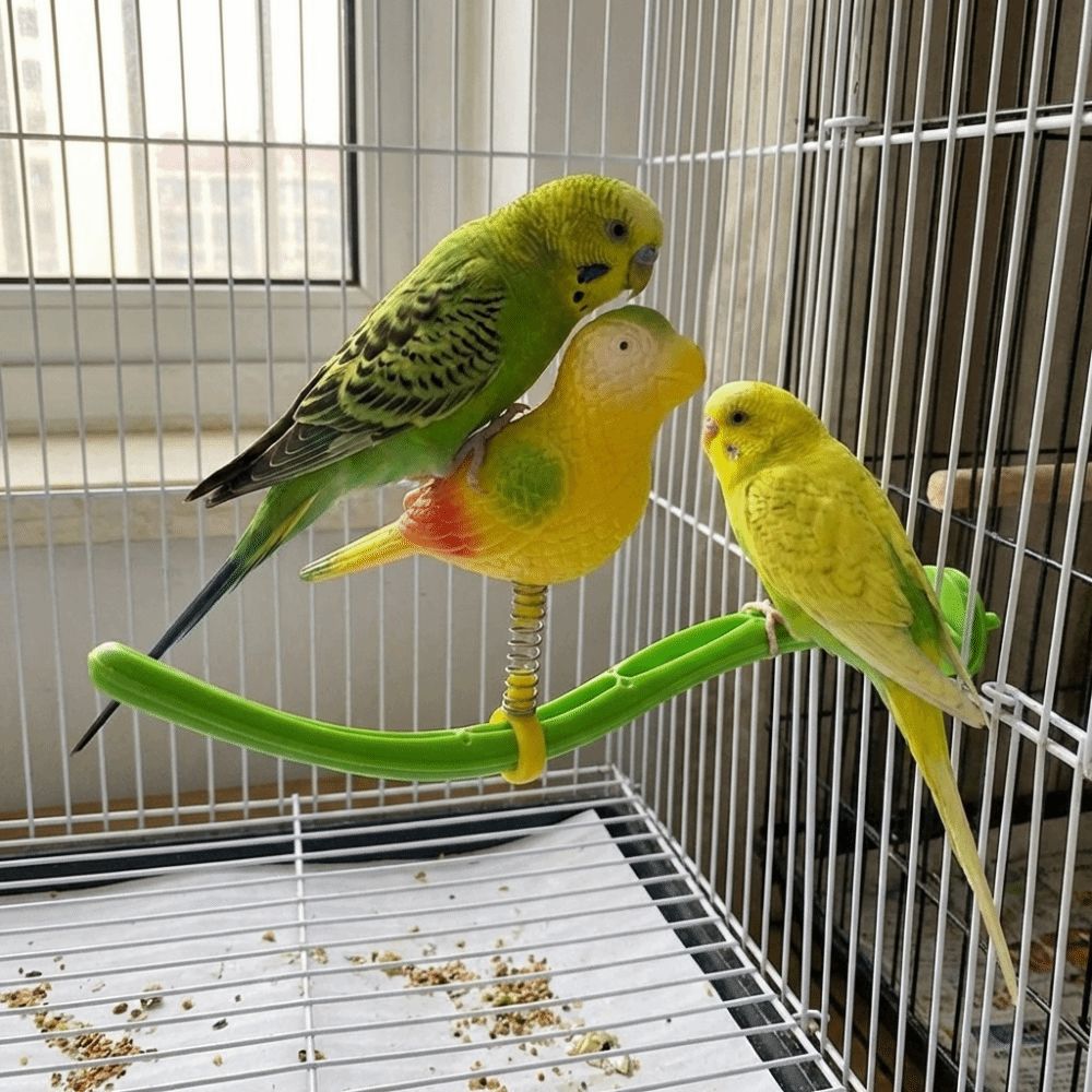 Plastic Swing Perch Toy Simulation Bird Parrot Play Rack Bird Perch Stand  for Bird Cage Aviary