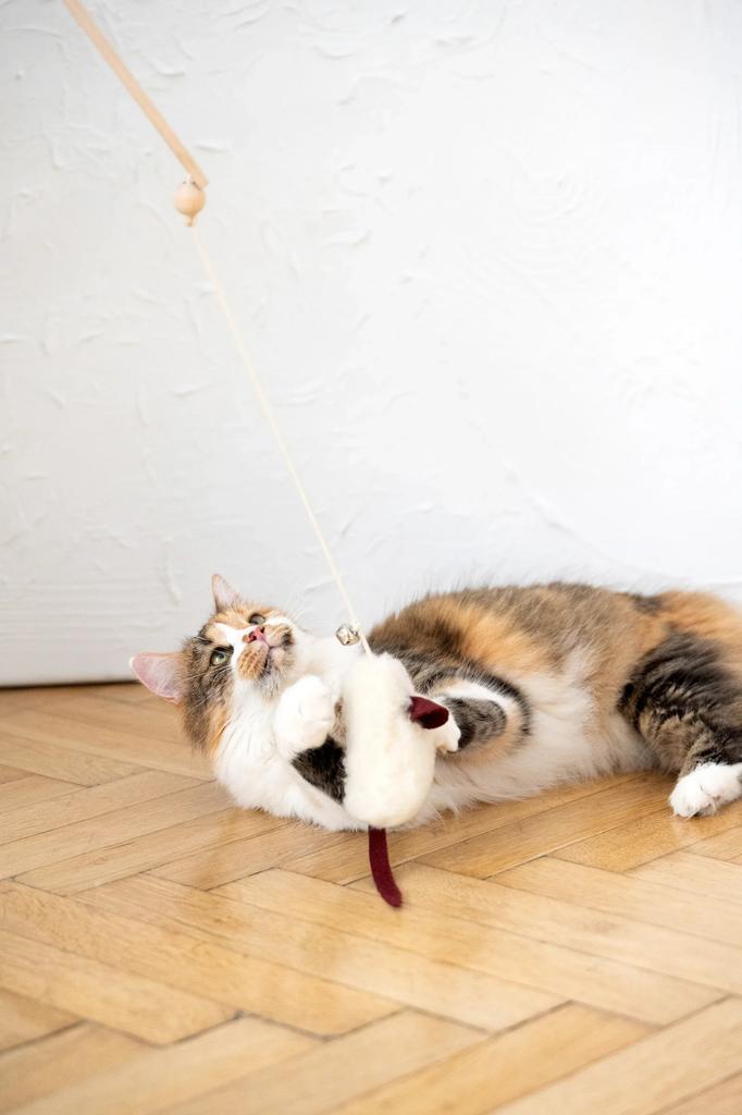 Natural Woolen Cat Toy: Mouse String