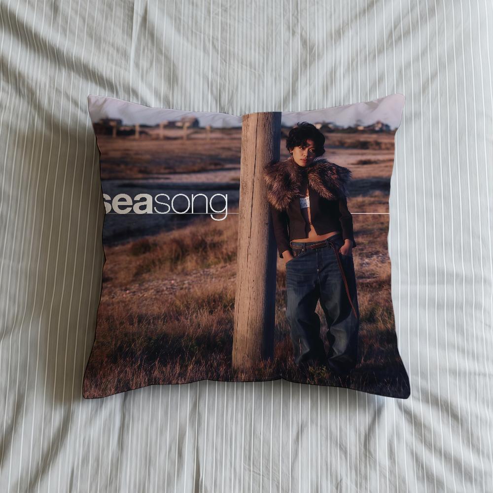 Fleeting Cushion Cover Soft Case Sofa Living Room Home Comfortable Office Decor Protective Unflirt Pillow