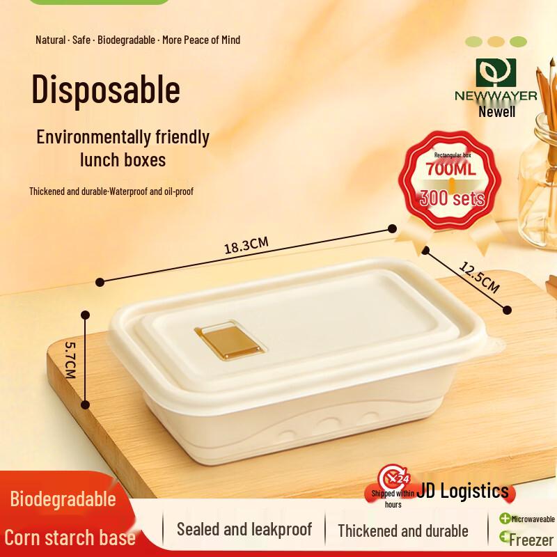 DaLyu 700ml Degradable Rectangular Takeaway Container with Window